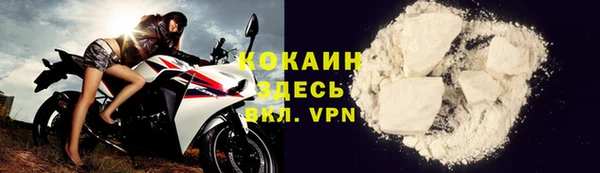 spice Бородино