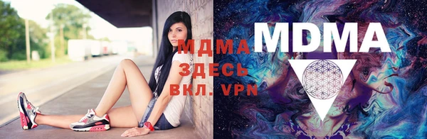 spice Бородино